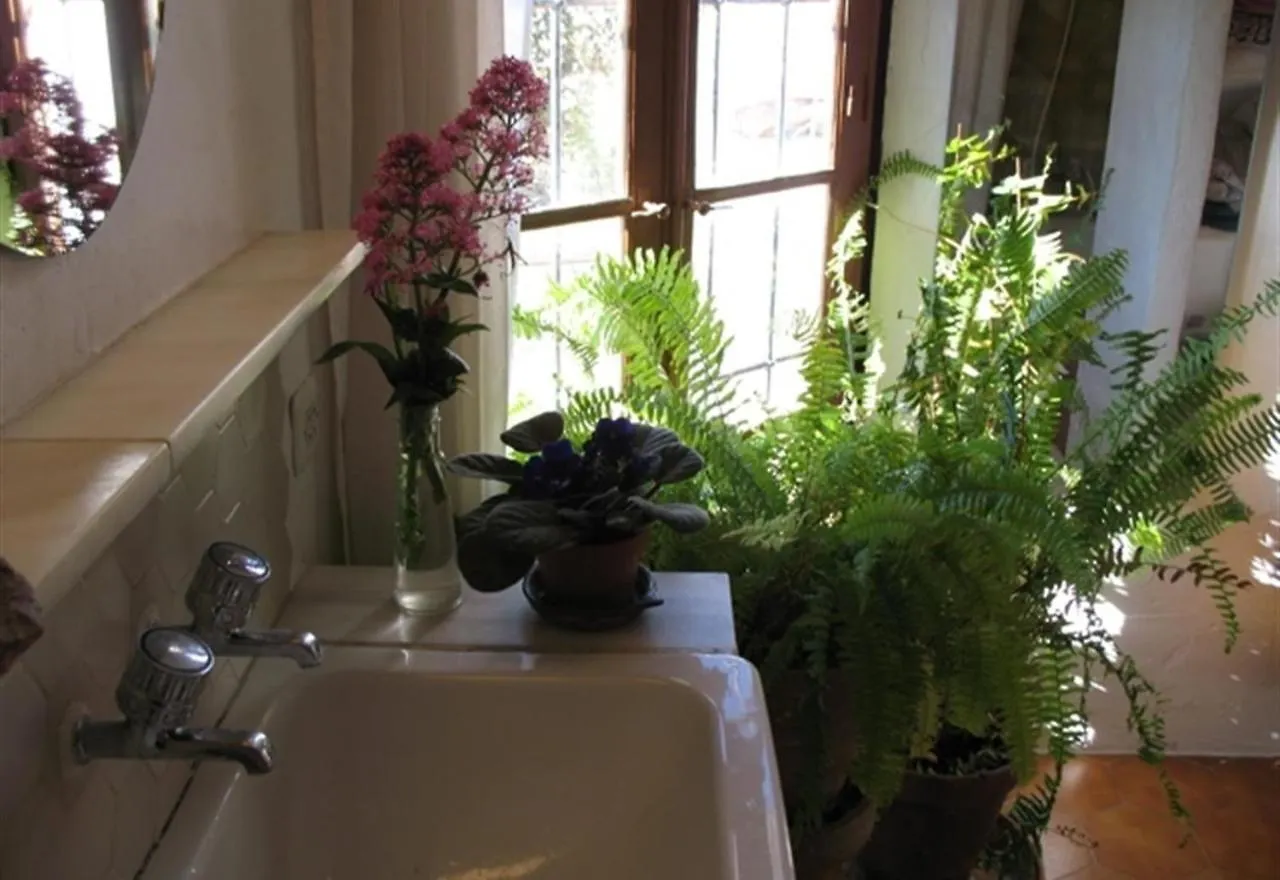 Spectacular Country Retreat Βίλα Mijas